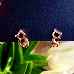 Zircon cat english lock earrings